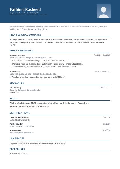 Banner Navy CV template