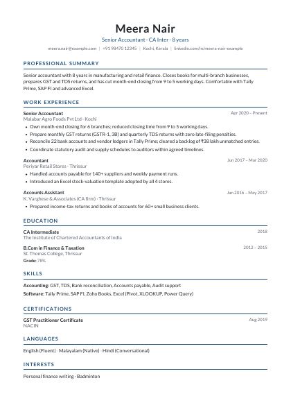 Classic Navy CV template