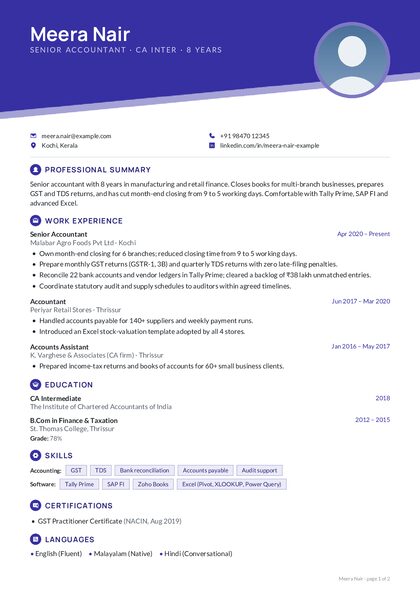 Diagonal Indigo Geo CV template preview