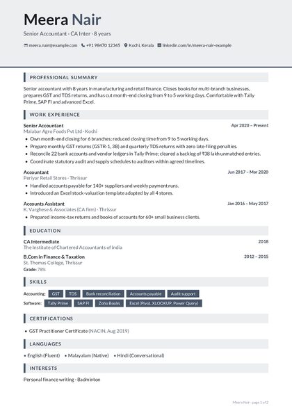 Duotone Slate CV template preview