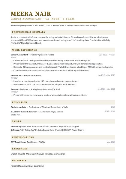 Executive Bronze Elegant CV template