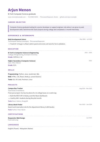 Fresher Plum Clean CV template