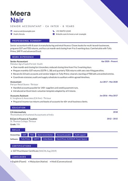 Geometric Indigo Geo CV template preview