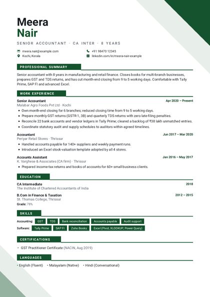 Geometric Pine Sharp CV template preview