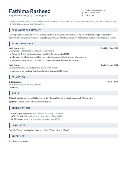 Section Bars Navy CV template