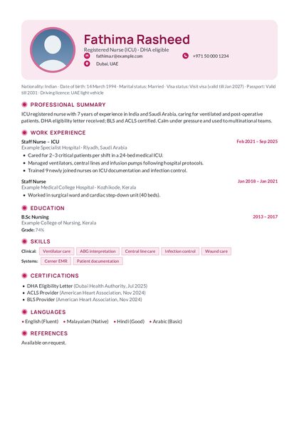 Pastel Rose Geo CV template preview