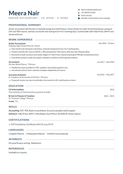 Professional Navy CV template