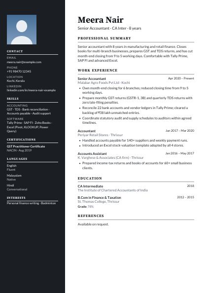 Sidebar Ink Elegant CV template