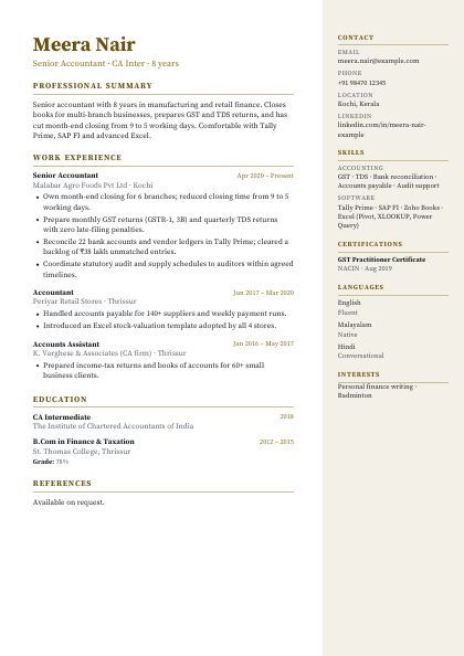 Side Panel Bronze Serif CV template